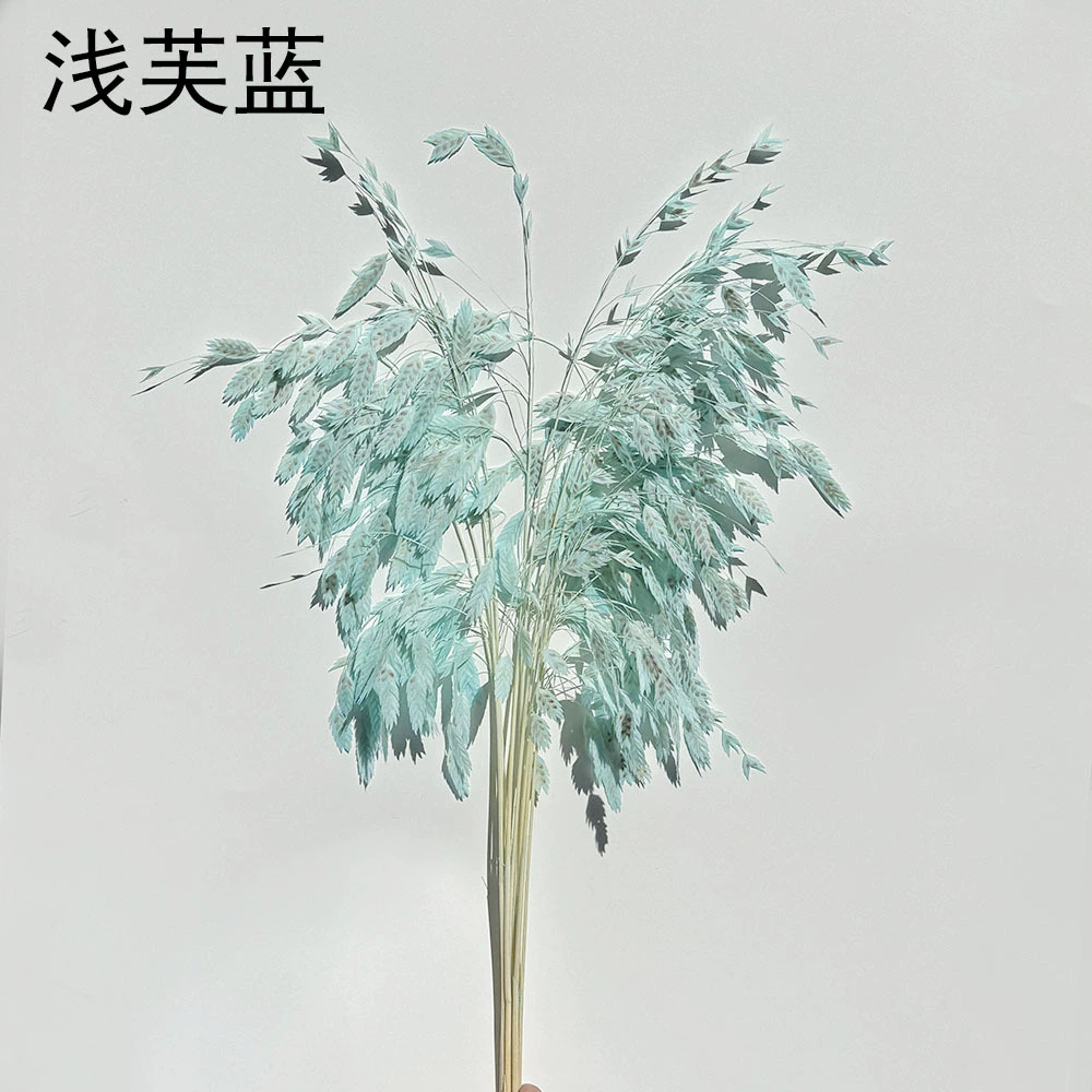 Сохранённые вечные цветочные стебли Xiao Pianwang Cao, цветочная сушёная букетная композиция, 10 шт, 30–60 см