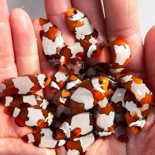 �˹�����С���~���~��ˮ�~��ˮ�^�p�~�W�ڮ�������Ī��߅��؈