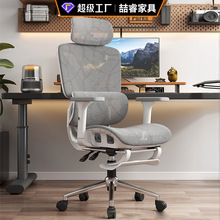 人体工学椅家用办公室椅电脑椅舒适久坐可躺透气镂空电竞椅办公椅