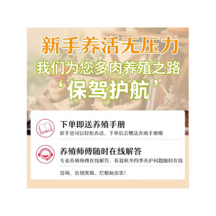 ����ֲ�������׃��@�GֲС���Դ��w���B�����҃��ײ��Ϙ�Ⱥ����Ʒ