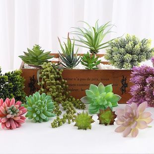 ����С�[������Gֲ�����bٻ����滨�����ֲ��С����һ�����l