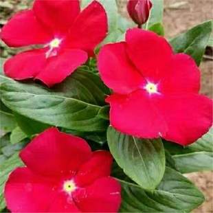 �͸ߜر��������_���մ��L�������������~÷�����҃����ļ��_