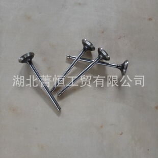 �|�L����˹6CT8.3�l�әC���T3924492