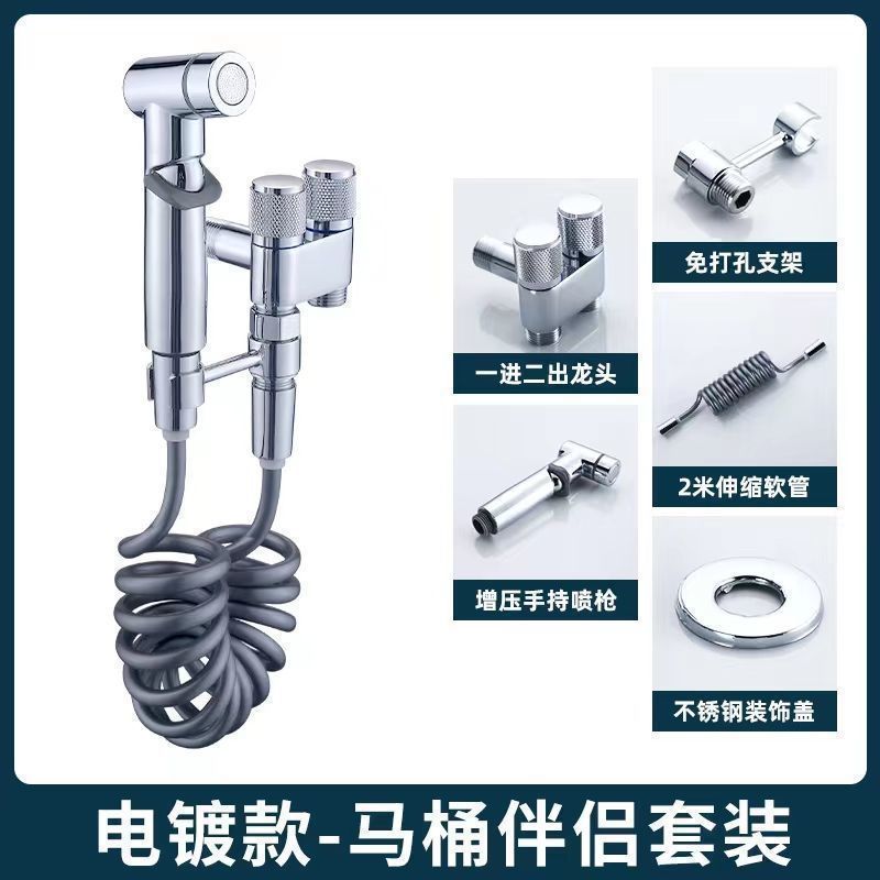 리치 올 구리 이중 제어 앵글 밸브(ABS 스프레이 건 세트)_ (전기 도금 색상) 1개 및 2개 아웃 앵글 밸브