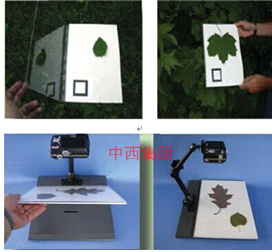 WinFOLIA 多用途叶面积仪 基础版UI55-STD4800