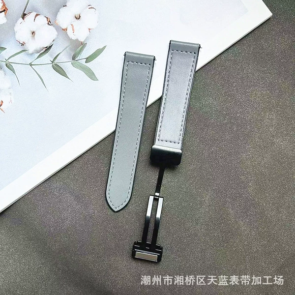 Gray-black magnetic buckle