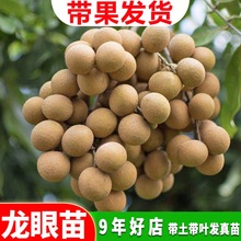 ��������ش������ļ�������tƤ���ۘ������Լ޽��Ϸ�������Y��