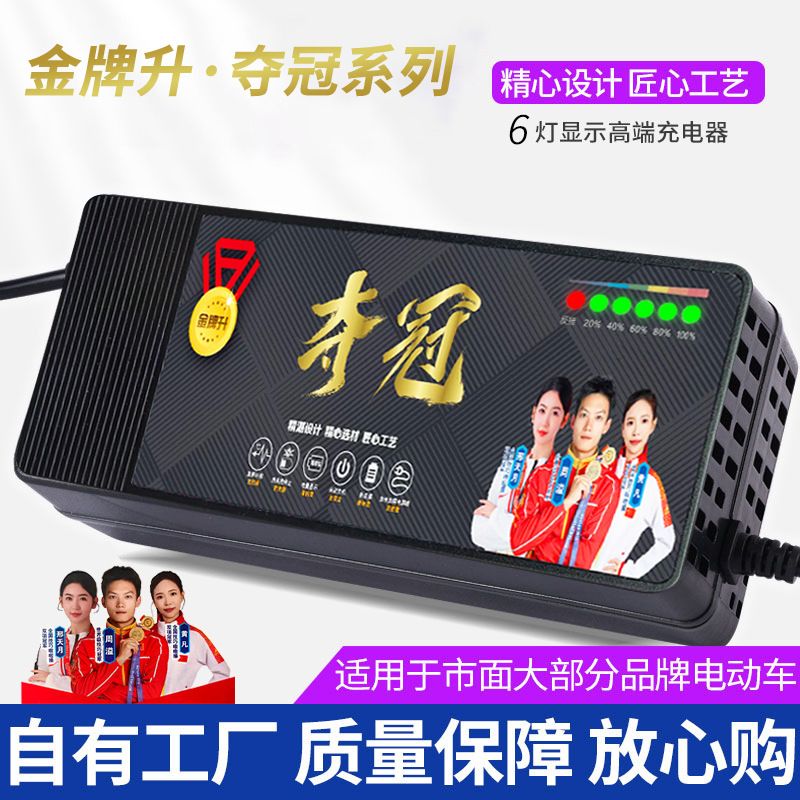 电瓶车充电器六灯显示漏电保护自动断电金牌升电动车充电器