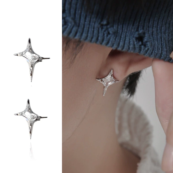 C432 pair of earrings