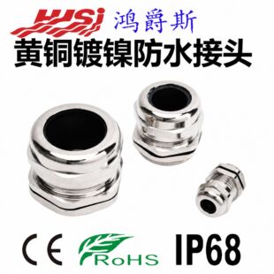 ����˹�S�~��M/PG/G/NPT����|��ˮ���^IP68�A�o���m���Ϻ��^