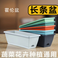 ����������ϷNֲ���̨��ͥ�N���N���L����������