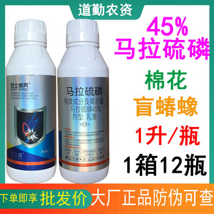 ��ʿ���R������45%�R�����������޻�ä����|��Ѭ���rș���x��