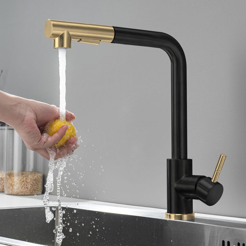 304 Stainless Steel Kitchen Pull-out Faucet Black Gallas Gold Mixed Color Sink Vegetable Basin Faucet