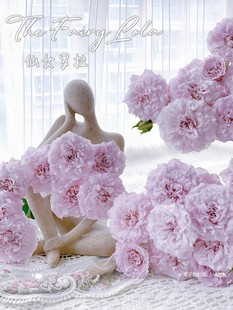 Warm Pink Multi-Headed Rose Fairy Lola Fresh-Cut Flowers Water-Raised Flower Bouquet for Mother's Birthday Mother Teacher