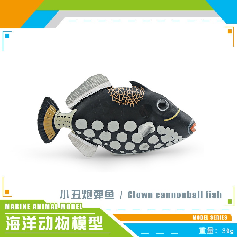 Exportación transfronteriza simulación de animales marinos conchas de cañón de peces, caparazones, atún, espada, peces voladores, adornos de modelo estático