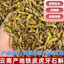 虎牙铁皮石斛小条云南原产地批发散装现货人工采摘价优实惠干货
