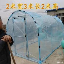 ���Ü��һ�������ů��ֲ�ﻨ���^����С��ꖹⷿ�����������̫�