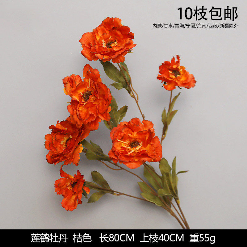 莲鹤牡丹 桔色