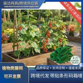 植物爬藤网园艺方格子黄瓜吊瓜攀爬网菊花支架抗倒伏网园艺三件套