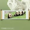 Panda 142