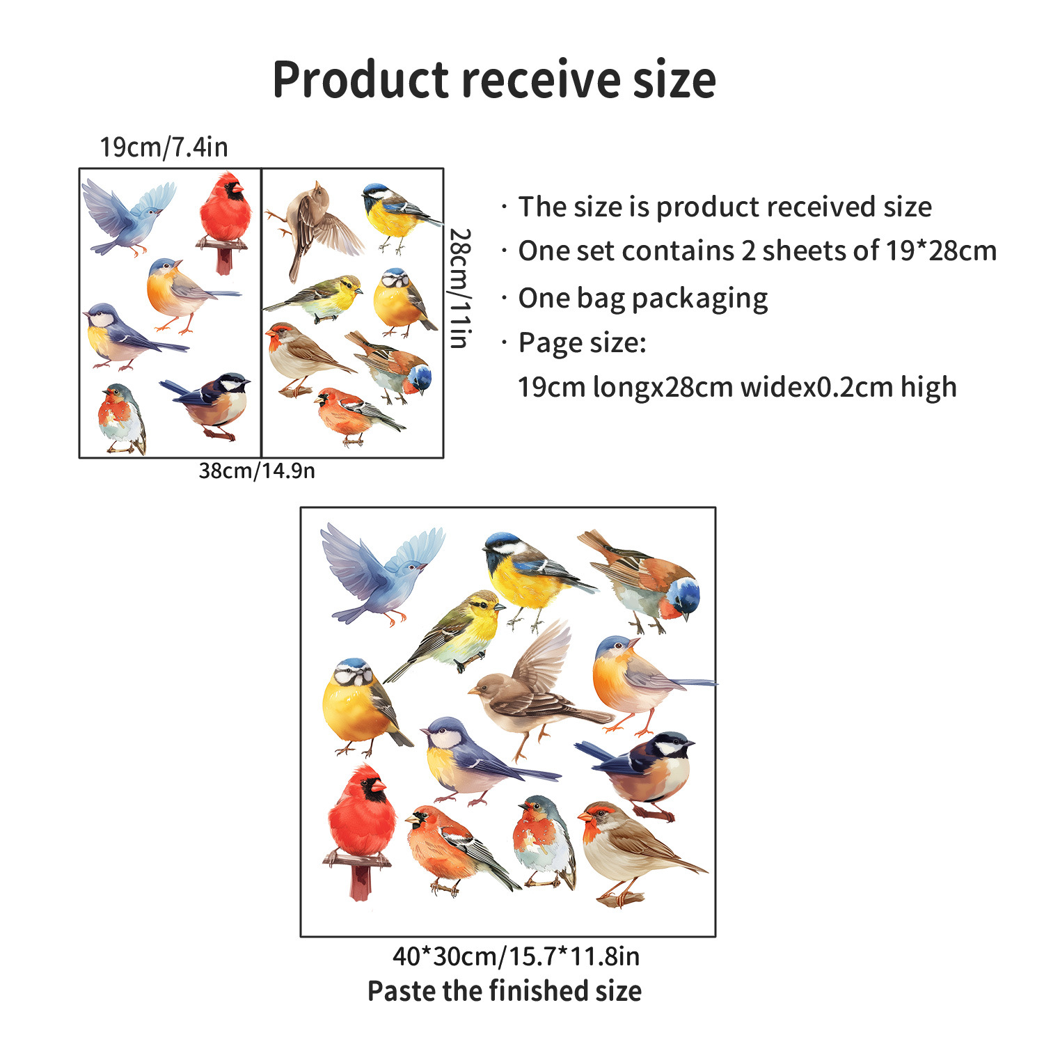 컬러 Birds-PH-QT817