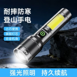 手电筒;头灯头戴电筒;提灯