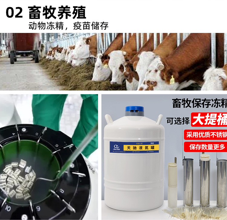 天驰_15.jpg
