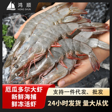 厄瓜多尔大虾青虾鲜活速冻超大对虾盐冻南美对虾类海鲜水产对虾