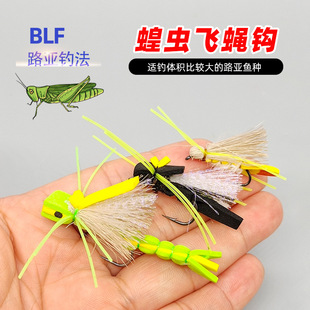 BLF215���x������x�wω�����D ·���wបM�D���D�wω�h