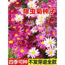 xշNþջ绨ݷN̨ܷ҃NݷNֲļN_