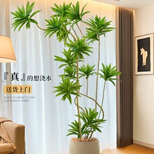 �ٺ���Gֲ���Դ����҃��b��͏d�[����ؘ������ֲ��