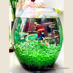 �~��ˮ�ݷN�����B����ƿ�쾰�ײ�ֲ��N����ˮ�������������b�