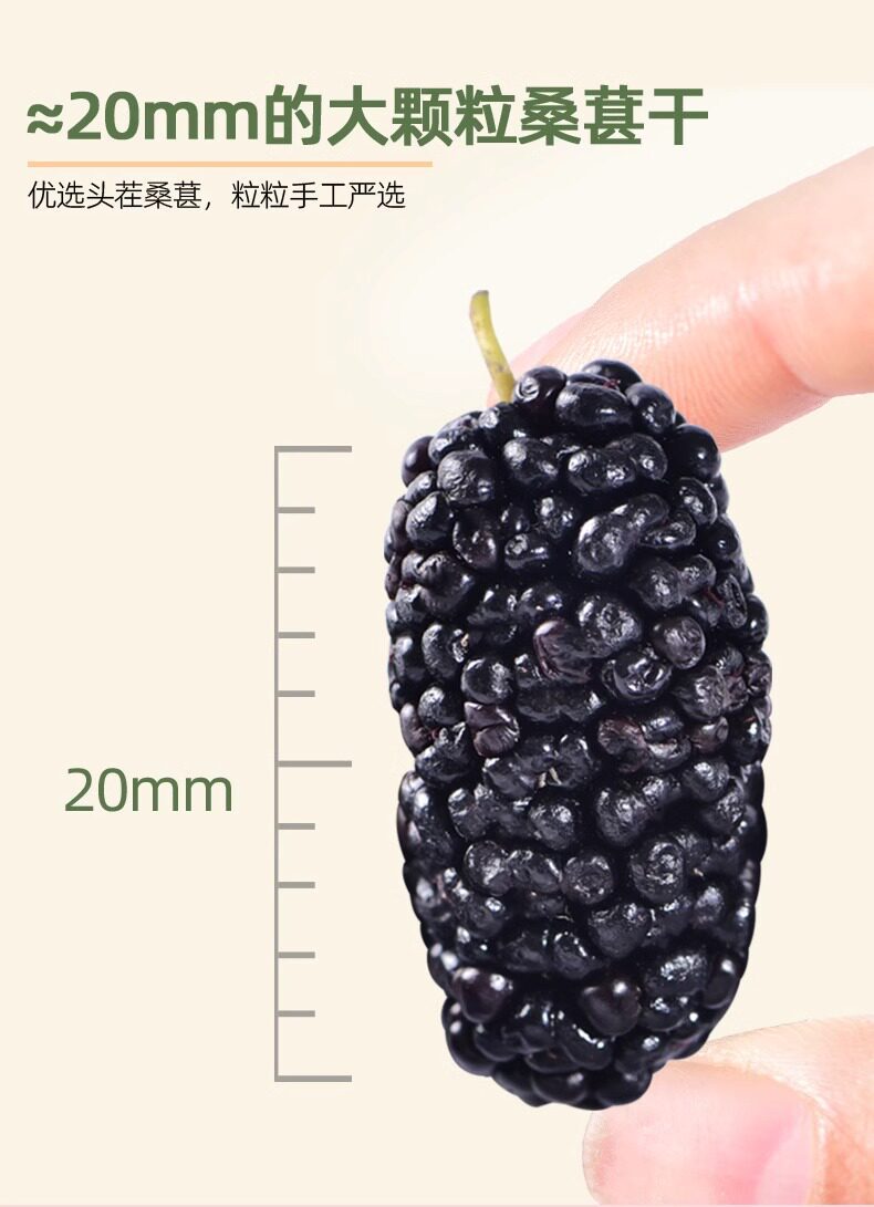 Premium Dried Mulberries Sang Shen 500g Large Whole Berries for Tea Snacks and Culinary Use quality and texture