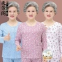 长袖夏季薄款纯棉家居服