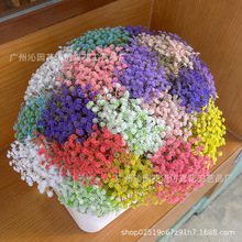 �羳����M����ֲ��ٻ��[����c�Ҿ��҃ȑ���Gֲ�b��������廨