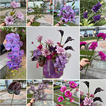 ��ɫ��������Ͱ���滨�S�����l ��ɫ�{ɫ�����L����Ҿ��bٻ�