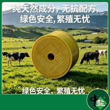 中盐集团出品现货供应饲料级舔块 盐砖 繁殖型盐 牛羊舔砖矿物质