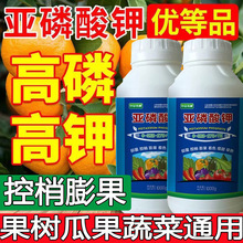 ~ʸЧҸٹ߲ͨ͸׸⛷