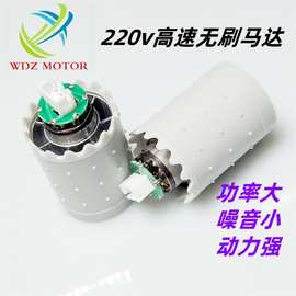 特卖220v高转速无刷直流电机吹风机家用智能电器手持风扇马达厂家