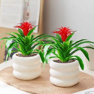 ���\���^�ļ��մ���t�ǻ����辰ˮ��ֲ���҃ȾGֲ�r���玧���P��