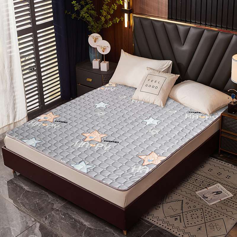 오각형 불가사리