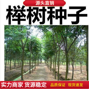 �²əΘ�t��Ѫ�δ��~�Η���ϲ������N��