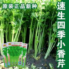 ļС۷N۲۷NѸ߮aļͥԺ߲˷N