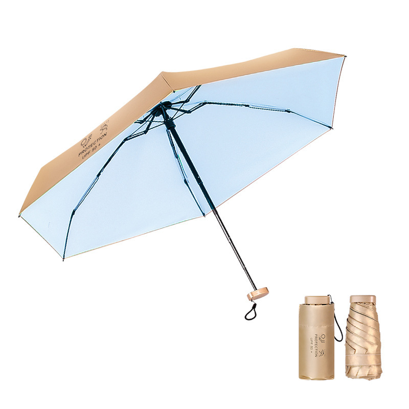 14 CM外チタンゴールド-静謐ブルー