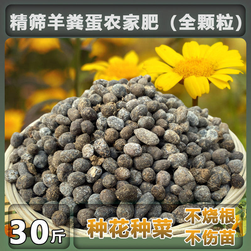 구매자의 95% 이상이 선택하는 엄선된 양분란 과립(전체 과립) 15kg개