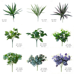 ����Gֲ���m�F��G�}���m��N��ʽ�҃��쾰�b��Ĕz���߷���G�~