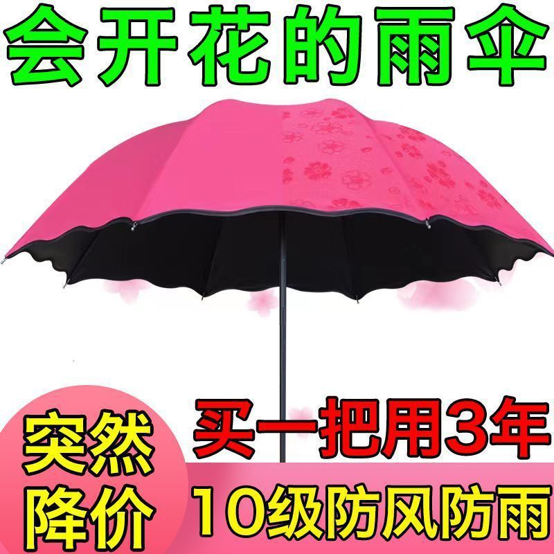 手動で水に出会って晴れた傘を咲かせます。|undefined