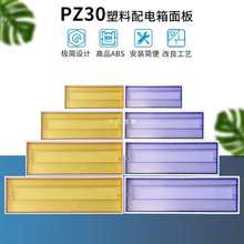 PZ30w12/15/18/20/24·λͨw