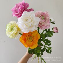 ���滨�[����ɫ���^¶ɏ��ĵ���ٻ�ëݢ��c�Ҿ������b��¿�