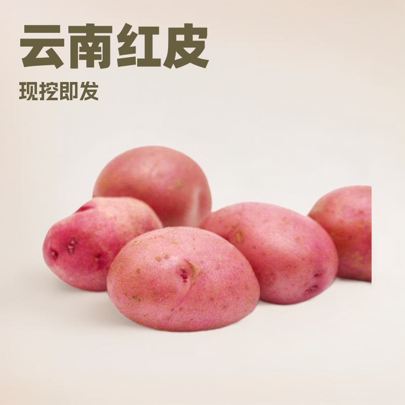 云南红皮土豆 代发9斤新鲜现挖马铃薯番薯应季蔬菜大洋芋产地直发